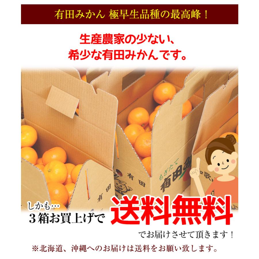 あけぼの 2025年 ご予約開始 有田みかん極早生品種の最高峰！ 幻の