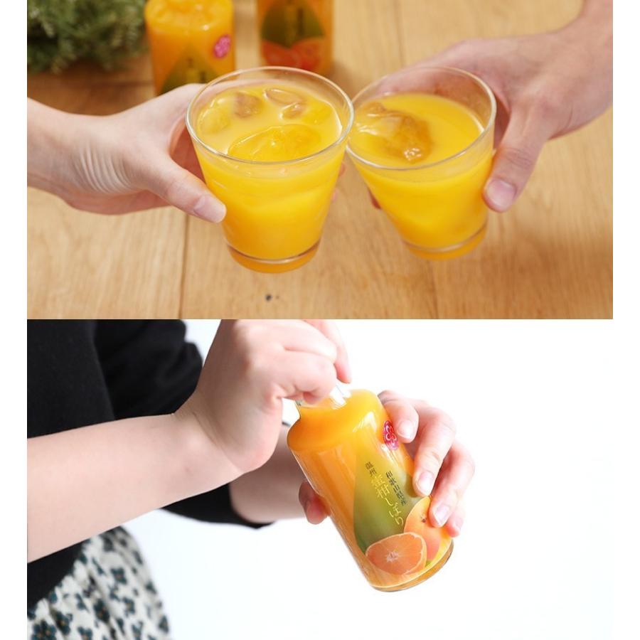 内祝い ギフト 送料無料 温州みかんジュース 100％ストレート果汁 瓶入10本 果汁100% オレンジジュース｜bundara｜08