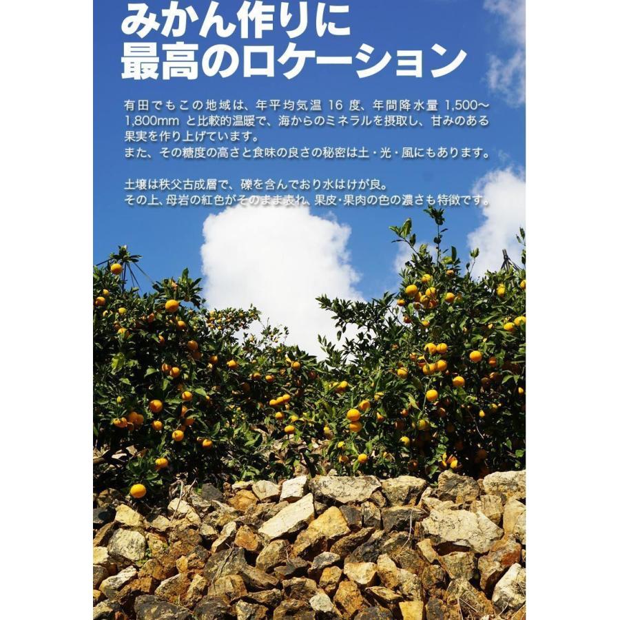 2025年 ご予約開始 内祝 ギフト 低農薬、自然のマルチ栽培で作る