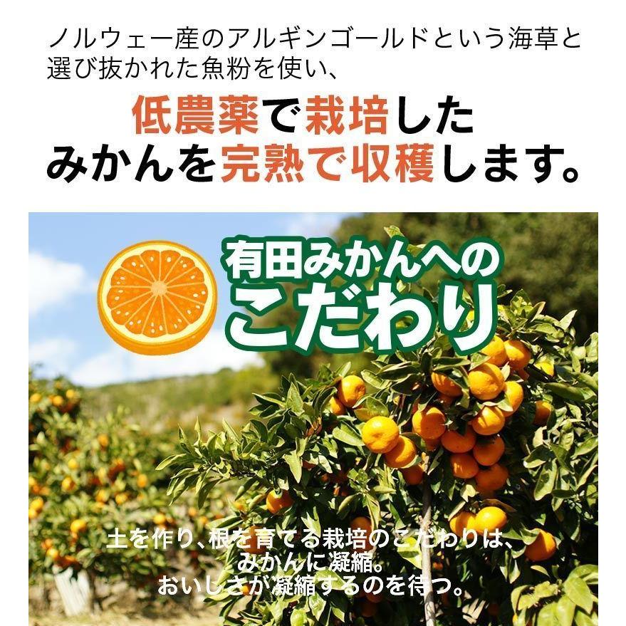 2025年 ご予約開始 内祝 ギフト 低農薬、自然のマルチ栽培で作る