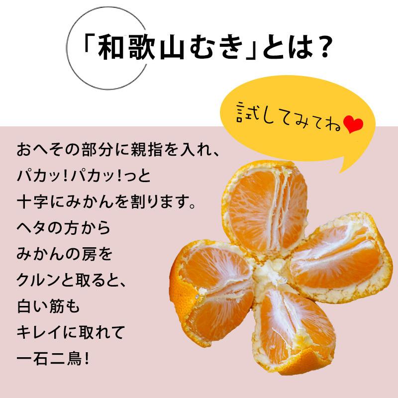 2025年 ご予約開始 低農薬、自然のマルチ栽培で作る美味しい 有田