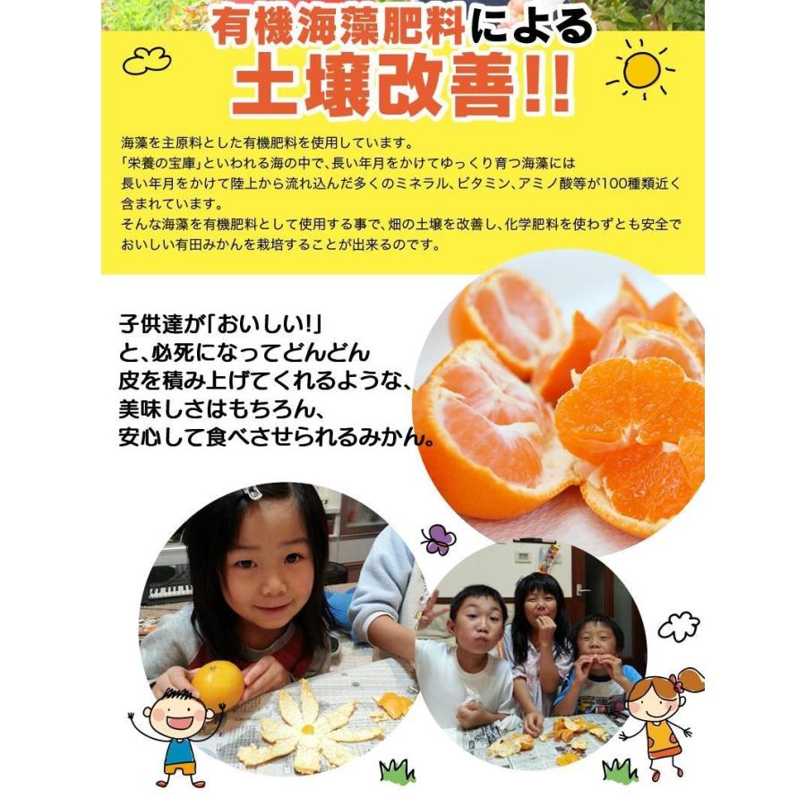 和歌山県有田産　マルチ栽培薄皮みかん10kg 低農薬、自然のマルチ栽培で作る美味しい 有田みかん Mサイズ