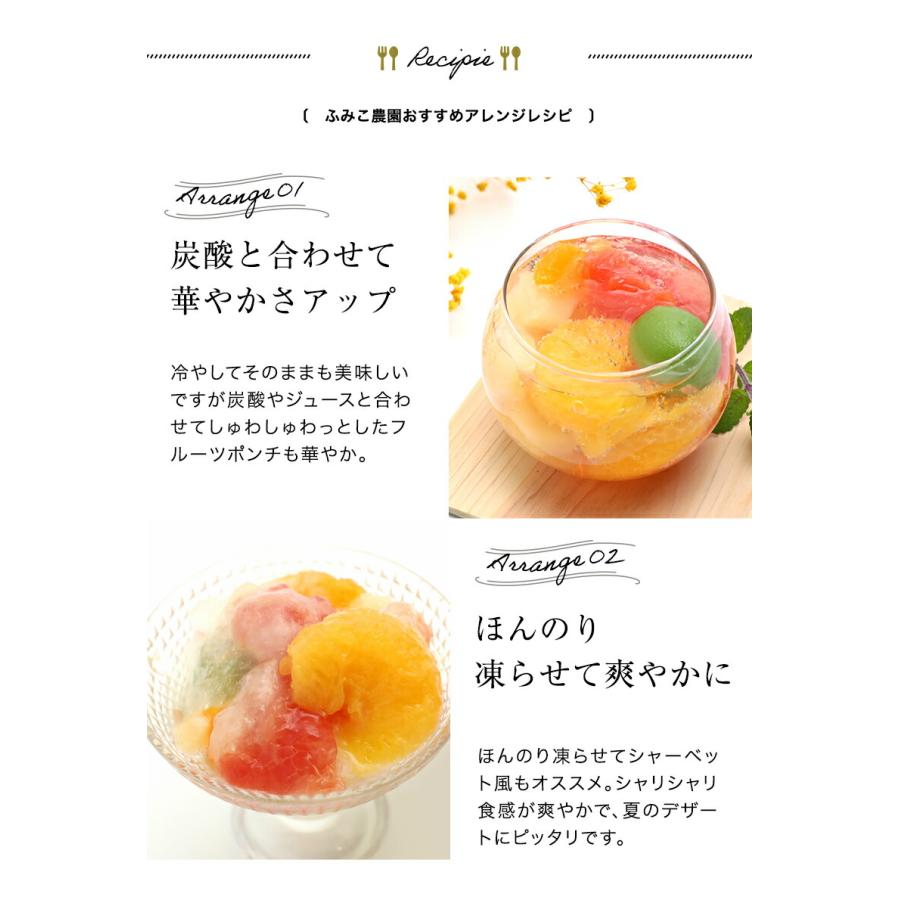 爆買 お歳暮 2025 冬ギフト プレゼント ギフト フルーツ ゼリー