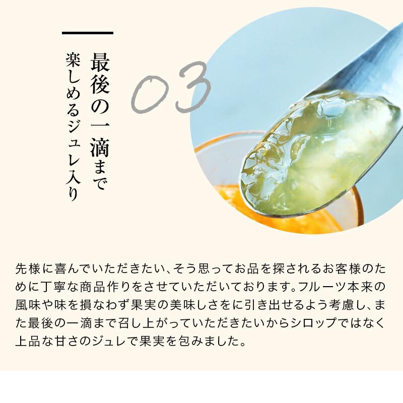 爆買 お歳暮 2025 冬ギフト プレゼント ギフト フルーツ ゼリー