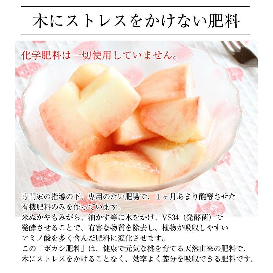 2026年 ご予約受付中 お中元 ギフト 御中元 中元 お持たせ 手土産 お中元ギフト 御中元ギフト 和歌山県産あら川の桃 12玉入（約4kg）(fy8)_9