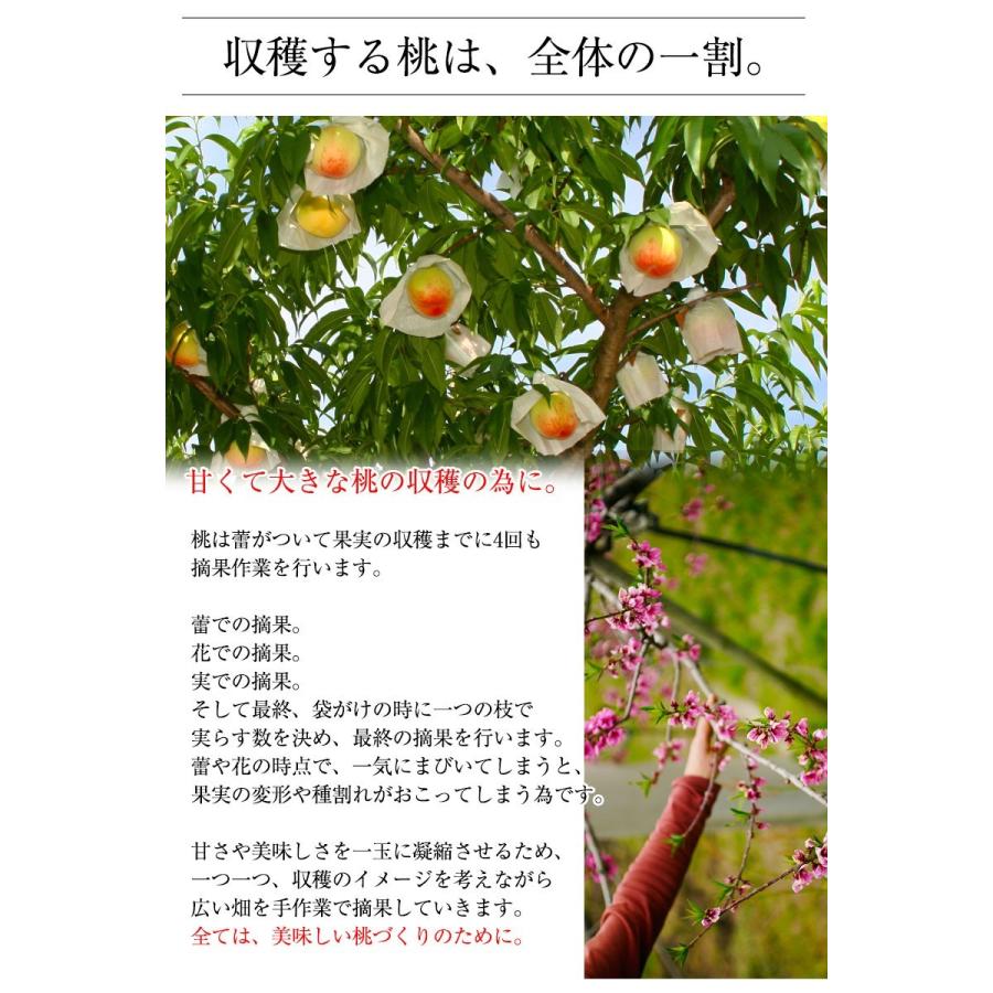 2026年 ご予約受付中 お中元 ギフト 御中元 中元 お持たせ 手土産 お中元ギフト 御中元ギフト 和歌山県産あら川の桃 12玉入（約4kg）(fy8)_10