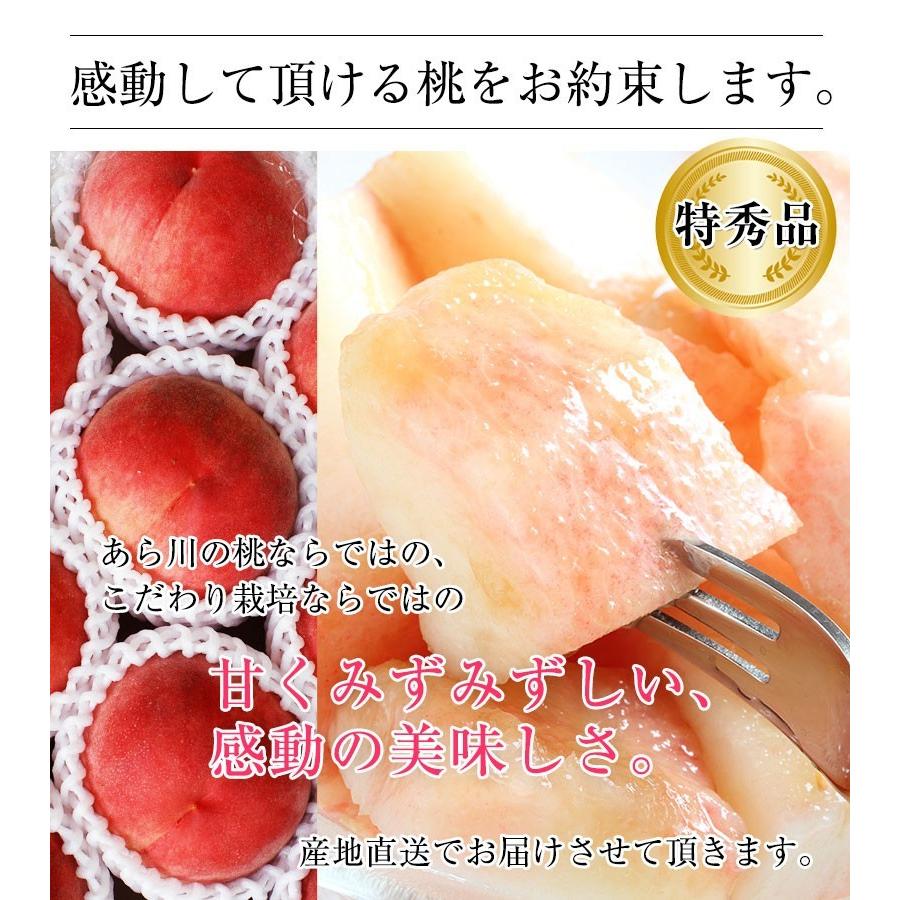 2026年 ご予約受付中 お中元 ギフト 御中元 中元 お持たせ 手土産 お中元ギフト 御中元ギフト 和歌山県産あら川の桃 12玉入（約4kg）(fy8)_11