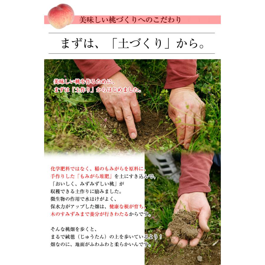 2026年 ご予約受付中 お中元 ギフト 御中元 中元 お持たせ 手土産 お中元ギフト 御中元ギフト 和歌山県産あら川の桃 12玉入（約4kg）(fy8)_6