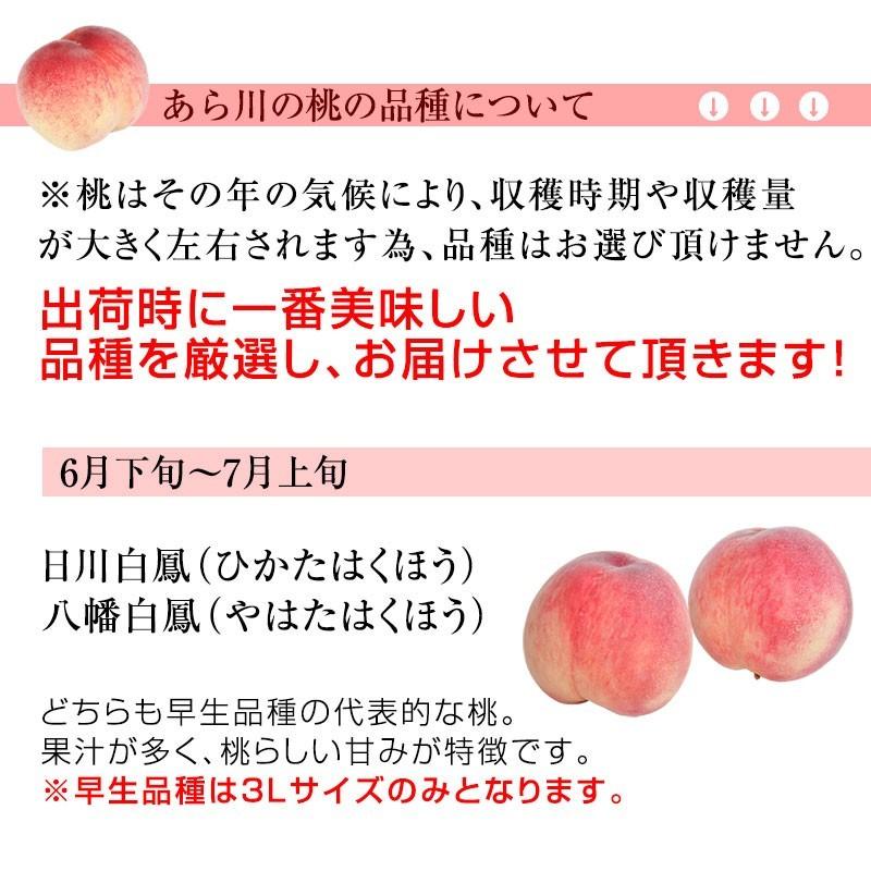 お中元 ギフト 御中元 中元 お持たせ 手土産 お中元ギフト 御中元ギフト 和歌山県産あら川の桃（白桃）３Ｌサイズの特秀品！7〜8玉入（約2kg）(fy7)｜bundara｜15