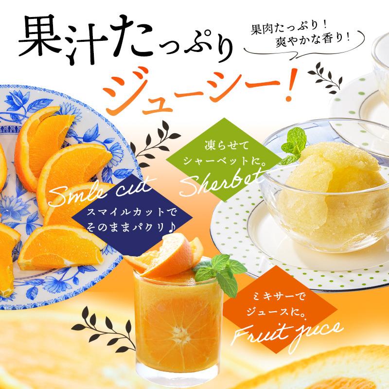 ご予約開始 和歌山県産ネーブル オレンジ 大玉 ギフト用 約4kg Br 送料無料 北海道 沖縄を除く Br 世界遺産 丹生都比売神社 お墨付き Fy7 Navel4 紀州ふみこ農園 通販 Yahoo ショッピング