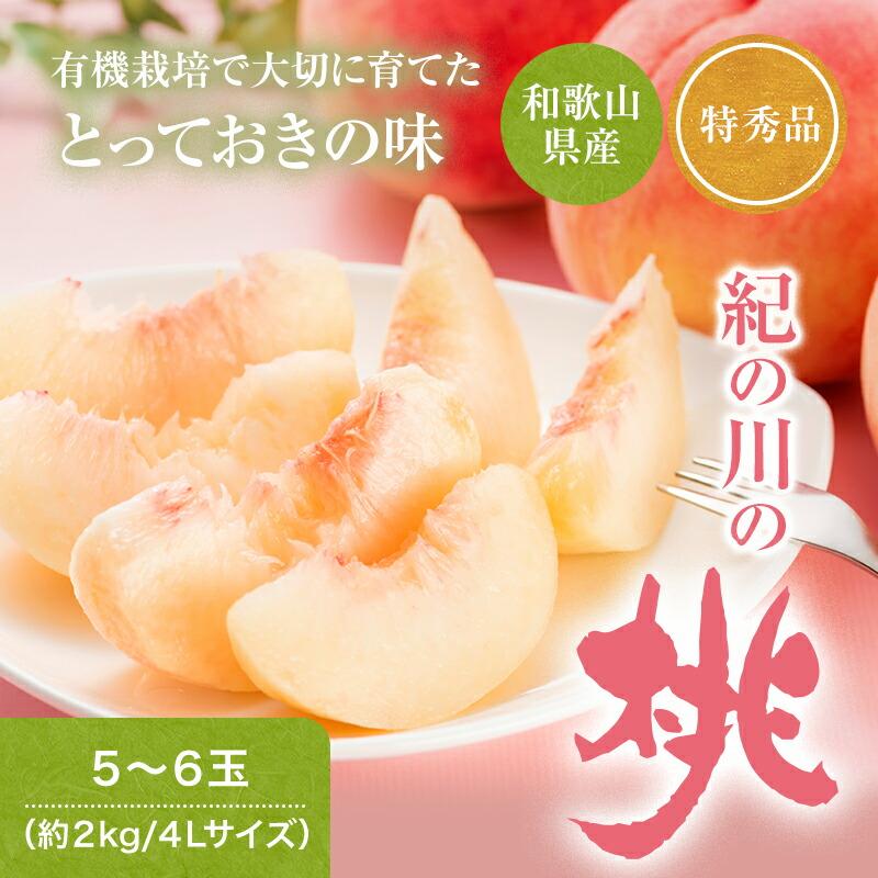 2025年 ご予約開始 お中元 ギフト 御中元 お持たせ 紀の川の桃