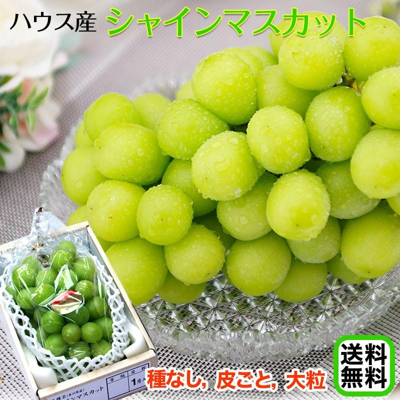 ホクホクの豆ごはんを！紀州うすい うすいえんどう