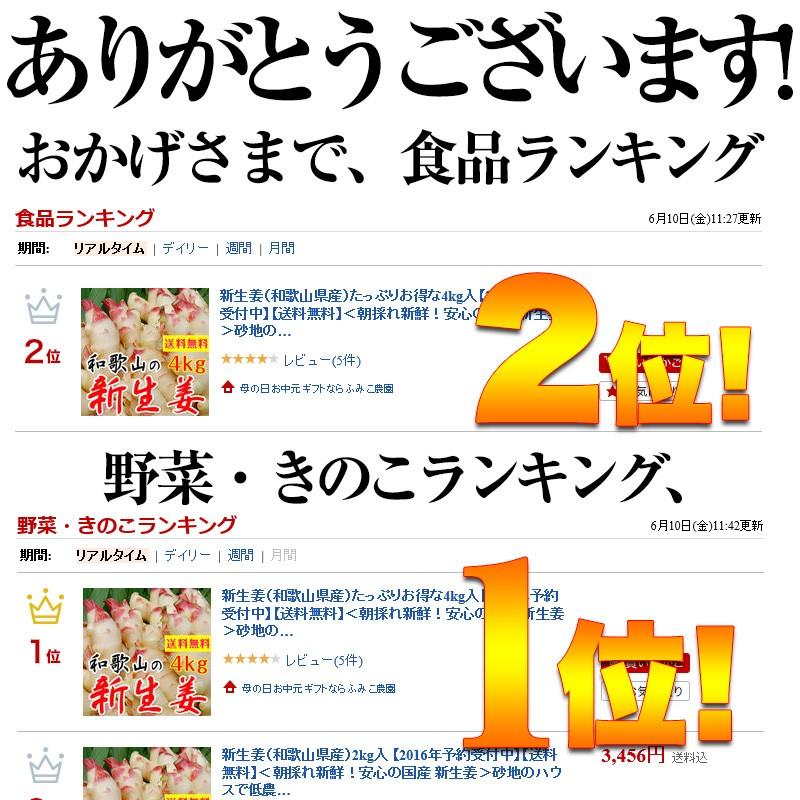 ハウス食品 2026年ご予約受付中 内祝い ギフト 新生姜（和歌山県産