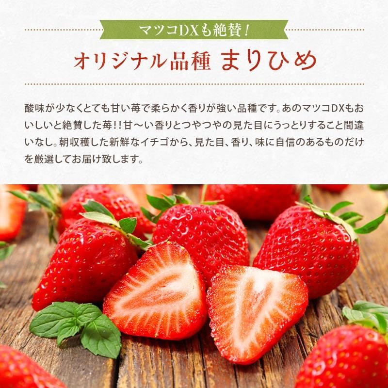 紀州 ギフト 和歌山の美味しいいちご (苺) まりひめ 3〜4Lサイズ 紀州 ギフト 和歌山の美味しいいちご (苺) まりひめ 3〜4Lサイズ