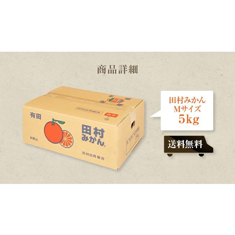 有田　田村のこだわり美味しみかん　10キロ贈答用Mサイズ　5ケース限定 年始出荷】田村みかん 赤秀 M 10キロ 特選 贈答用ギフト選別品 M