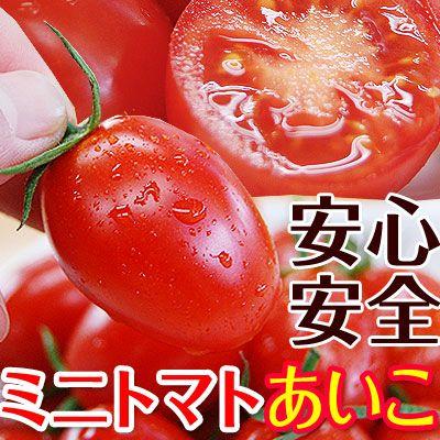 ミニトマトあいこ（アイコ）2kg （和歌山県産）減農薬、減化学肥料で育てたこだわりハウス栽培の美味しさ！　(fy5)｜bundara｜03