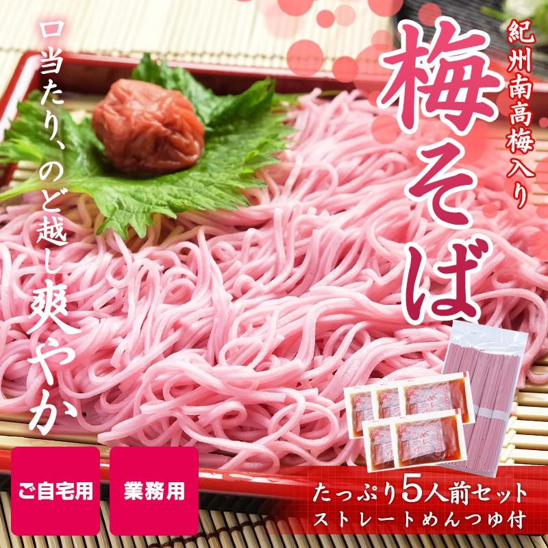 紀州 内祝い ギフト お持たせ 手土産 梅ざるそば 500g（5人前 めんつゆ