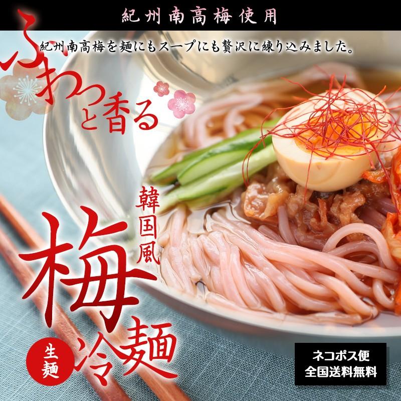 紀州南高梅使用 韓国風 梅冷麺 4食スープ付