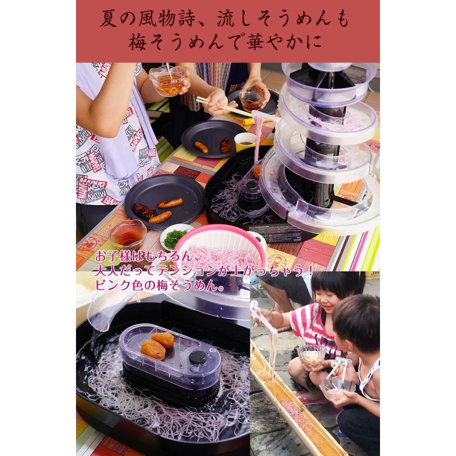 ギフト プチギフト 紀州南高梅肉入 手延べ梅そうめん500g（250g×2袋）ネコポス便【全国送料無料】素麺 お試し ご家庭用  ※めんつゆは別売りです (fy3)｜bundara｜12