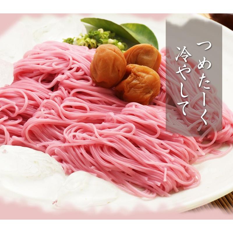 ギフト プチギフト 紀州南高梅肉入 手延べ梅そうめん500g（250g×2袋）ネコポス便【全国送料無料】素麺 お試し ご家庭用  ※めんつゆは別売りです (fy3)｜bundara｜14