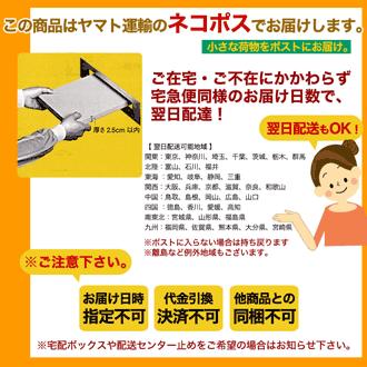 ギフト プチギフト 紀州南高梅肉入 手延べ梅そうめん500g（250g×2袋）ネコポス便【全国送料無料】素麺 お試し ご家庭用  ※めんつゆは別売りです (fy3)｜bundara｜17