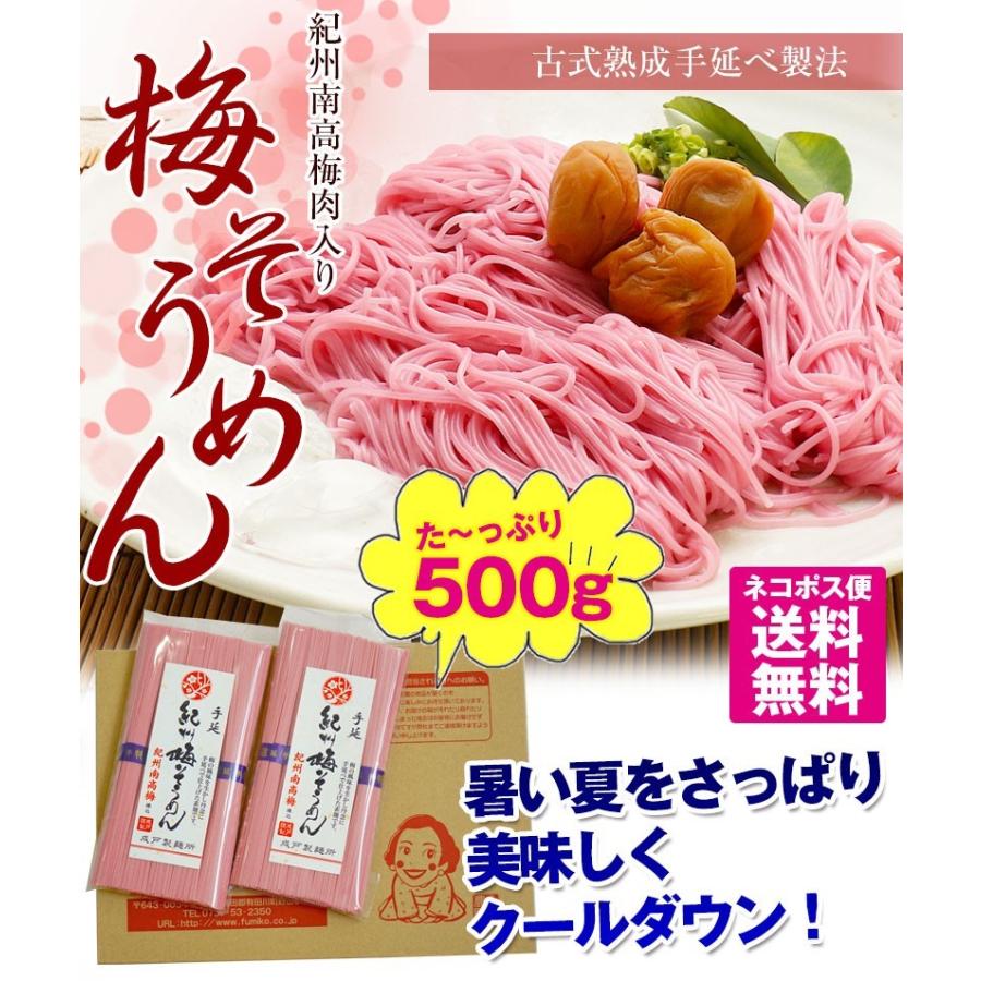 ギフト プチギフト 紀州南高梅肉入 手延べ梅そうめん500g（250g×2袋）ネコポス便【全国送料無料】素麺 お試し ご家庭用  ※めんつゆは別売りです (fy3)｜bundara｜03