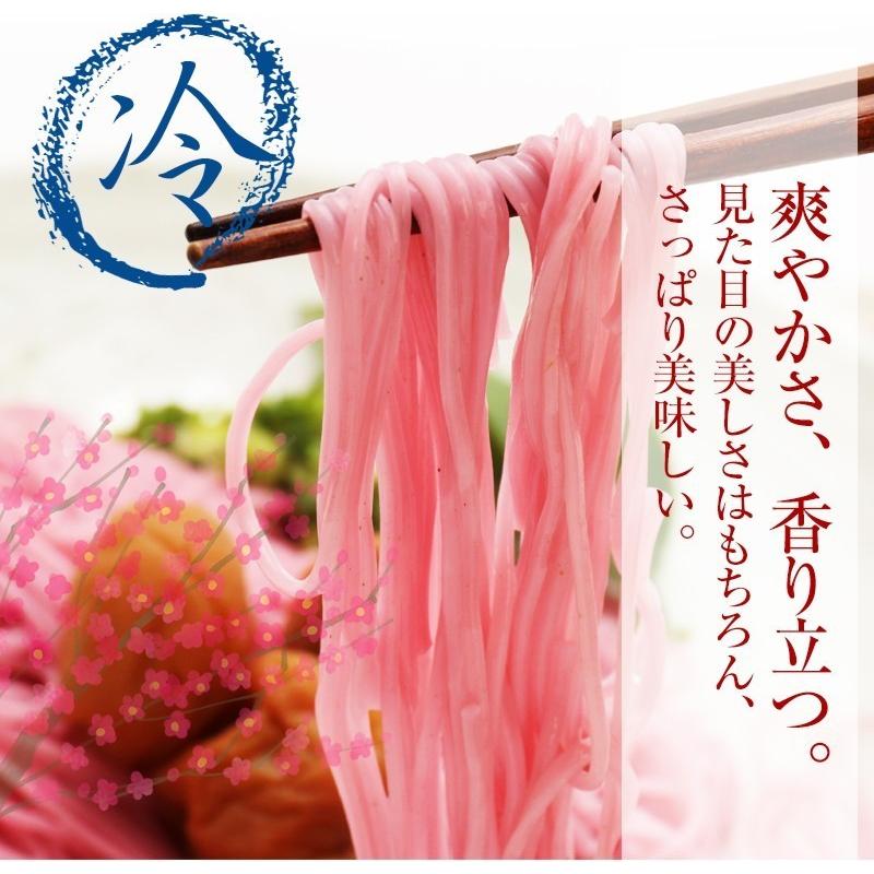 ギフト 紀州南高梅肉入 手延べ梅そうめん1kg（250g×4袋） ネコポス便 全国送料無料！素麺 お試し ご家庭用  (fy4)　※めんつゆは別売りです｜bundara｜02