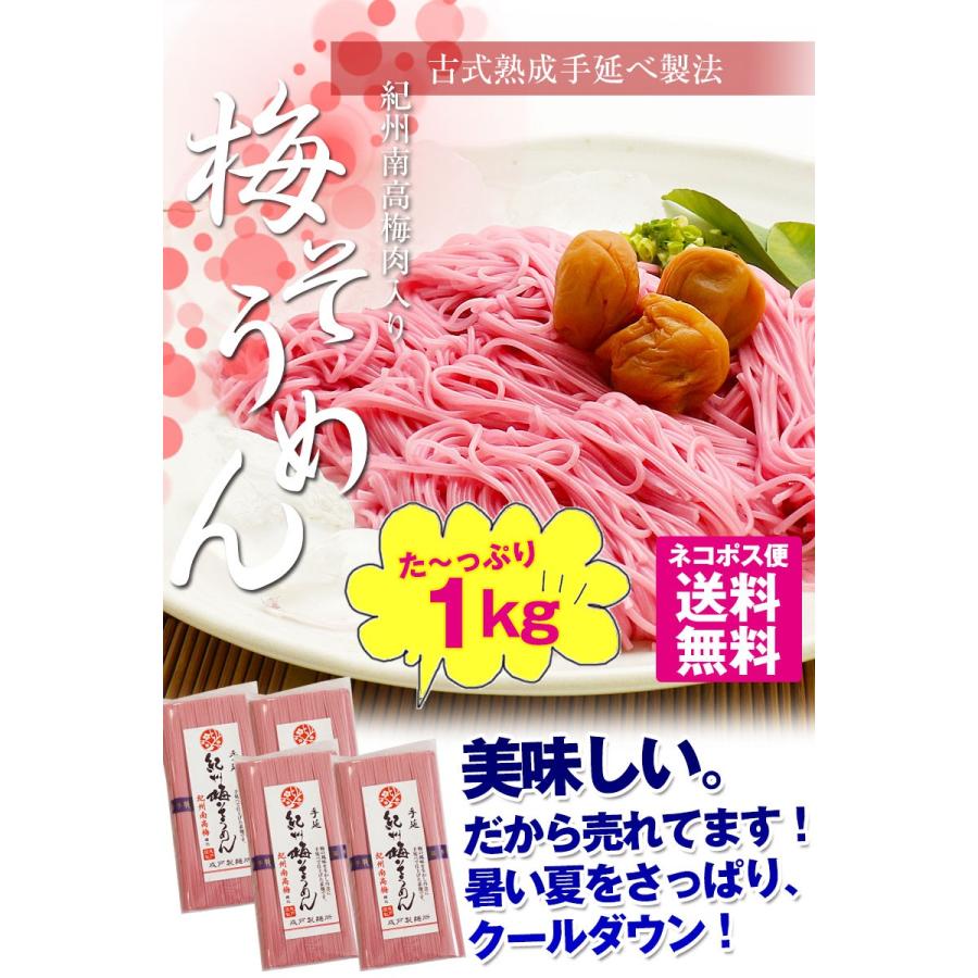 ギフト 紀州南高梅肉入 手延べ梅そうめん1kg（250g×4袋） ネコポス便 全国送料無料！素麺 お試し ご家庭用  (fy4)　※めんつゆは別売りです｜bundara｜03