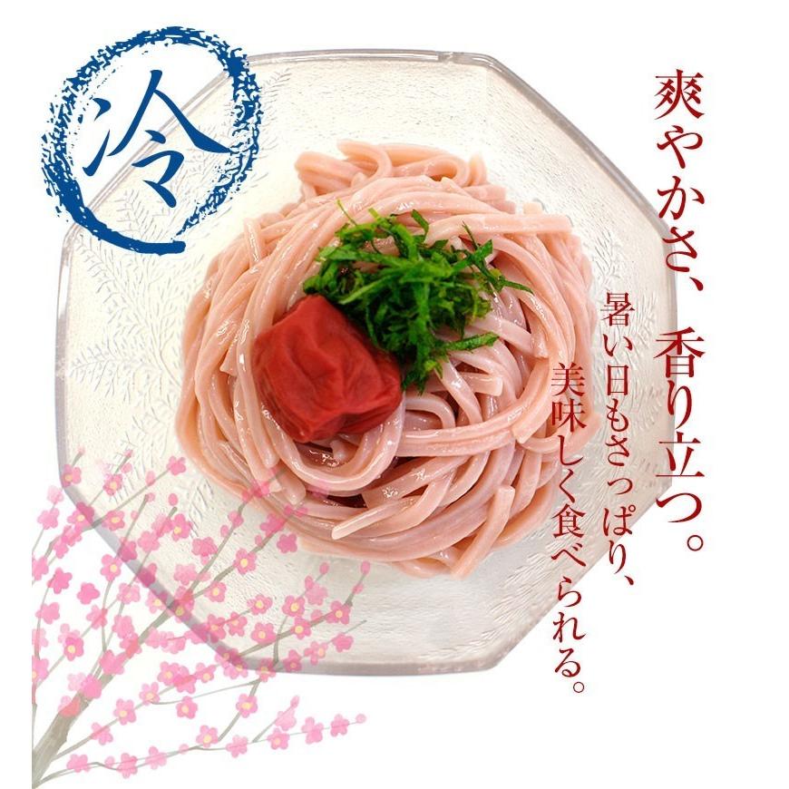 母の日 プチギフト 手みやげにも！紀州冷し 梅うどん 4食めんつゆ付 冷しうどん、かけうどんのつゆが選べます！ 全国送料無料！ |  | 01