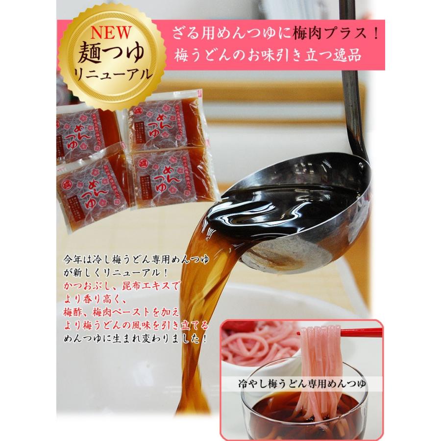 母の日 プチギフト 手みやげにも！紀州冷し 梅うどん 4食めんつゆ付 冷しうどん、かけうどんのつゆが選べます！ 全国送料無料！ |  | 10