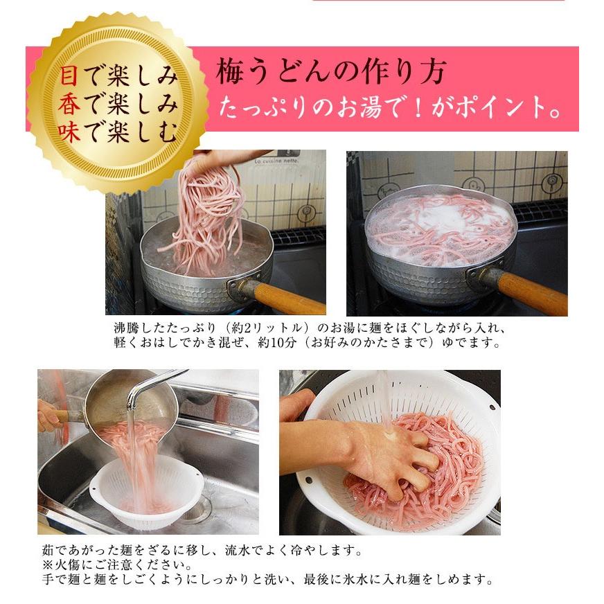 母の日 プチギフト 手みやげにも！紀州冷し 梅うどん 4食めんつゆ付 冷しうどん、かけうどんのつゆが選べます！ 全国送料無料！ |  | 11