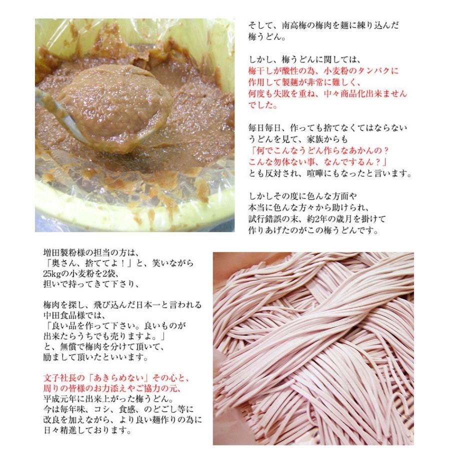 母の日 プチギフト 手みやげにも！紀州冷し 梅うどん 4食めんつゆ付 冷しうどん、かけうどんのつゆが選べます！ 全国送料無料！ |  | 09