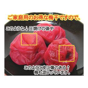 内祝い ギフト ご家庭用南高梅　しそ漬梅　1kg （贈答用 紀州南高梅干し・お土産・ギフト）(fy6)｜bundara｜03