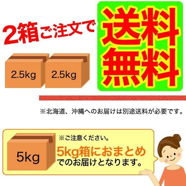 有田みかん （ちびみかん）2.5kg 2箱〜送料無料（北海道、沖縄除く）（5kgおまとめ）3箱ご購入で一箱プレゼント（10kgおまとめ）　(fy3)｜bundara｜03