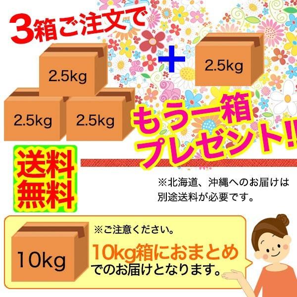 有田みかん （ちびみかん）2.5kg 2箱〜送料無料（北海道、沖縄除く）（5kgおまとめ）3箱ご購入で一箱プレゼント（10kgおまとめ）　(fy3)｜bundara｜04