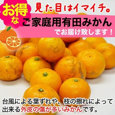 有田みかん （ちびみかん）2.5kg 2箱〜送料無料（北海道、沖縄除く）（5kgおまとめ）3箱ご購入で一箱プレゼント（10kgおまとめ）　(fy3)｜bundara｜05