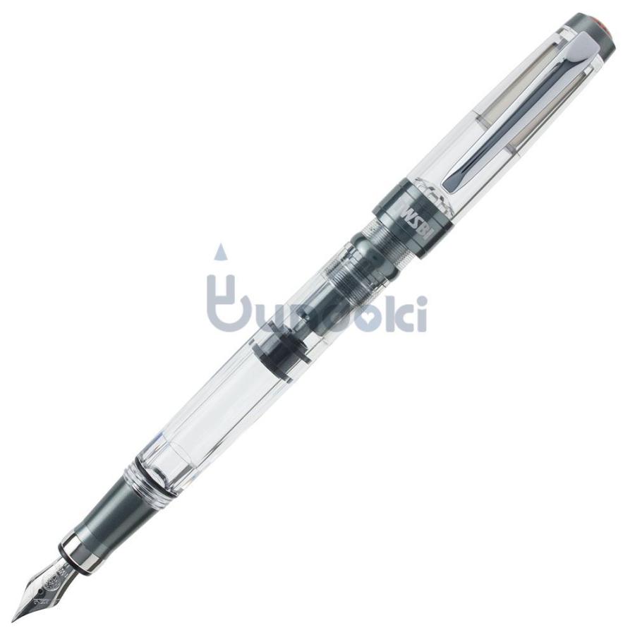 TWSBI ツイスビー ダイヤモンド580AL R ニッケルグレイ (F 細字