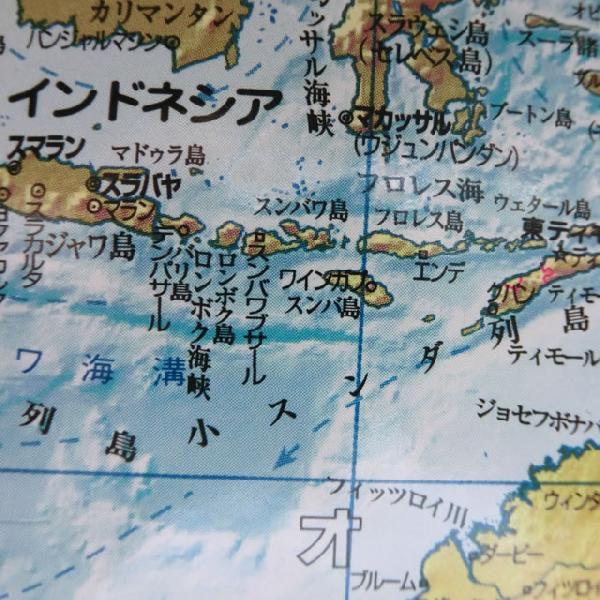 最大60%OFFクーポン 送料無料 日本語版 リプルーグル地球儀 オセアニア