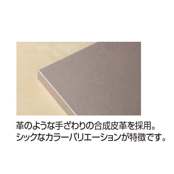 セキセイ 【全3色・Lサイズ写真300枚収容】セキセイ／クルミネ フォト