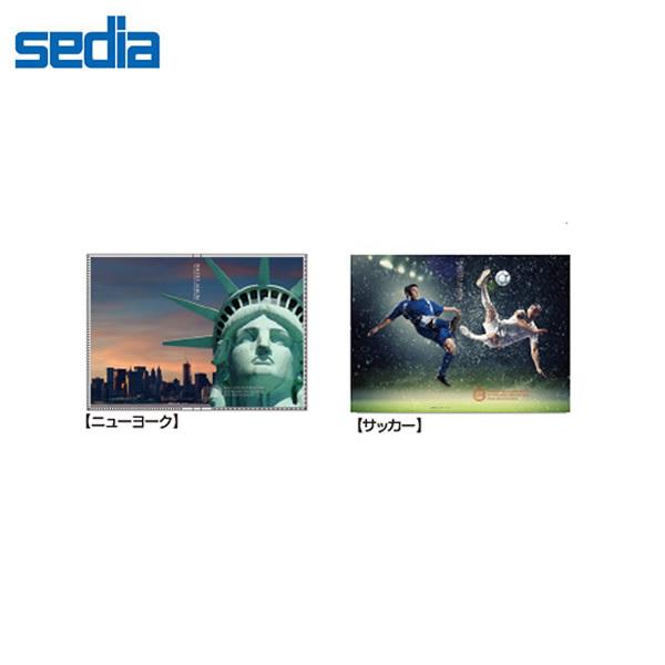 全2柄 セキセイ カバーアルバム 高透明 40枚収容 きせかえ君 Kp 234 Sedia 表紙を着せ替えできるポケット付表紙のフォトアルバム Kp 234 ぶんぐる 通販 Yahoo ショッピング