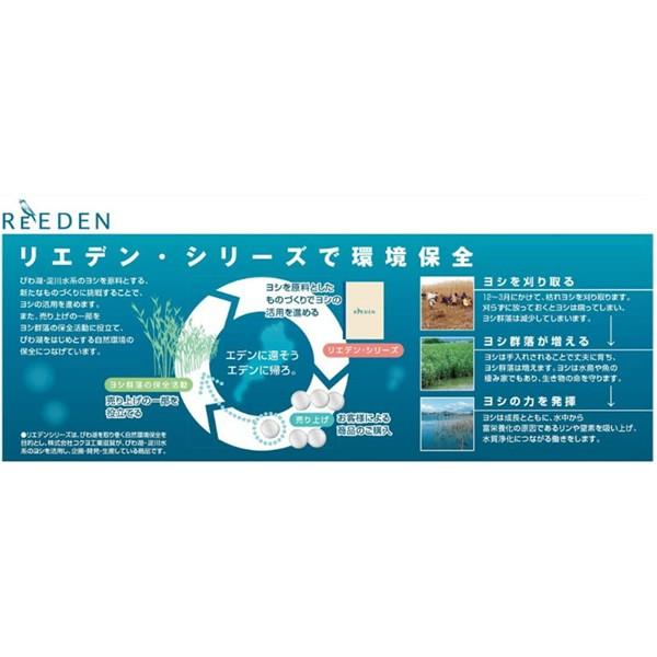 コクヨ／ヨシ紙 コピー用紙＜ReEDEN＞リエデンシリーズ B5 薄口（KPSJ