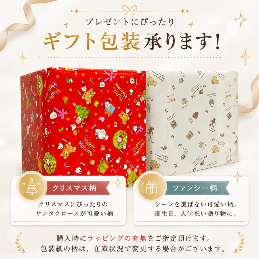 帝国書院 】【無料包装】 N26-5WII（行政）天球儀付 直径26cm地球儀