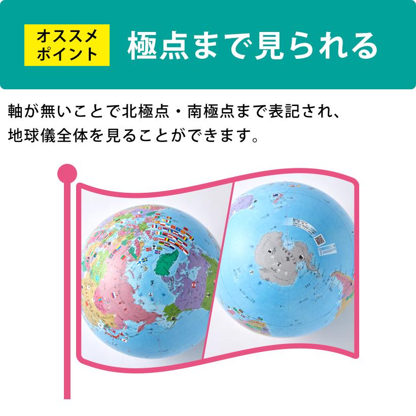 レイメイ藤井 購入特典付き！レイメイ藤井／しゃべる国旗付地球儀