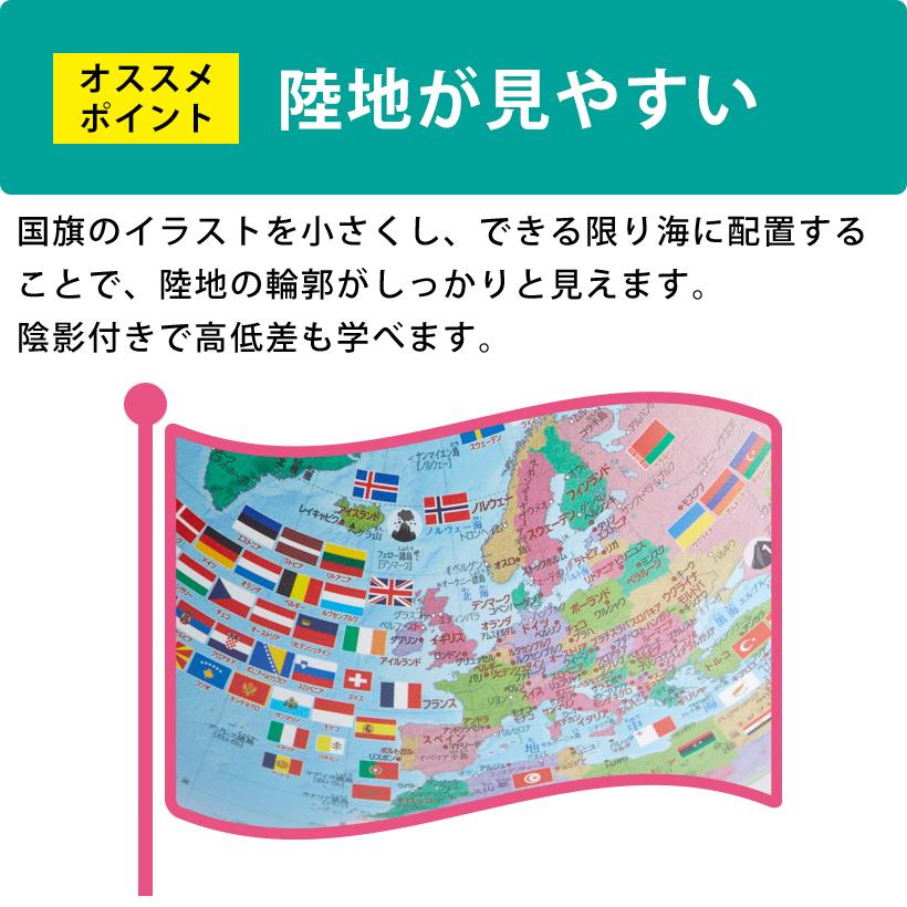 レイメイ藤井 購入特典付き！レイメイ藤井／しゃべる国旗付地球儀