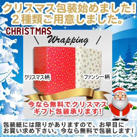 購入特典かるた付！しゃべる地球儀 パーフェクトグローブ ホライズン  