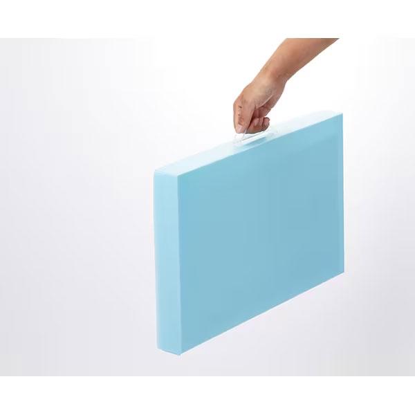 レイメイ藤井 レイメイ藤井／作品ファイル（RS1089）絵画 厚口四ツ切り