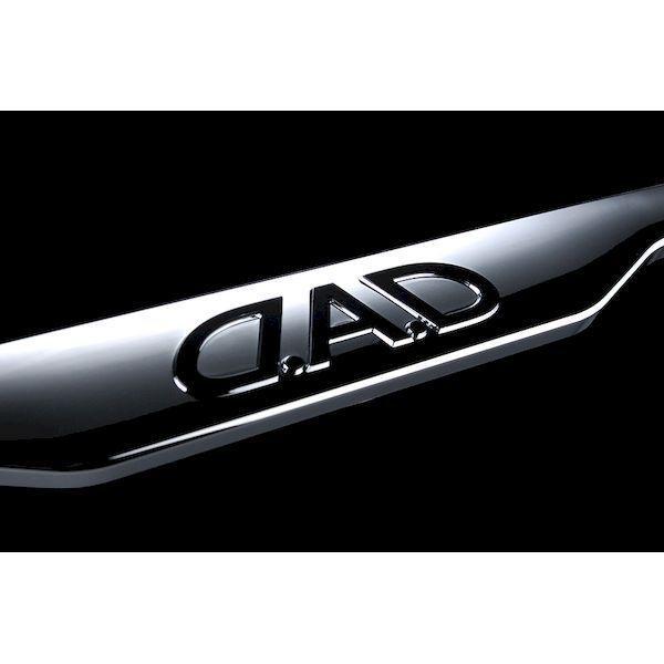 ギャルソン DAD SB181-01 D．A．D クリスタル ライセンスフレームII 