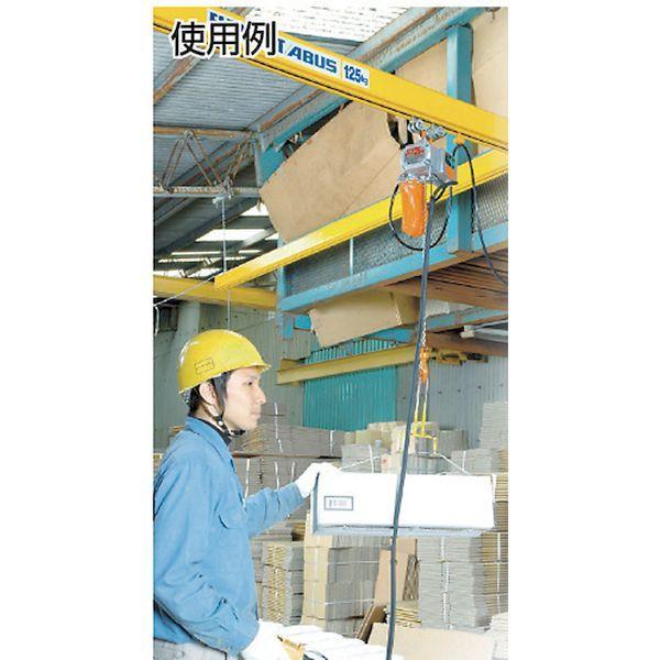 あすつく対応 「直送」 【個数：1個】象印 BS-K1260 ベータ型小型電気チェンブロック 定格荷重１２５ＫＧ 揚程６Ｍ βＳ−０１２ ６ｍ BSK_3