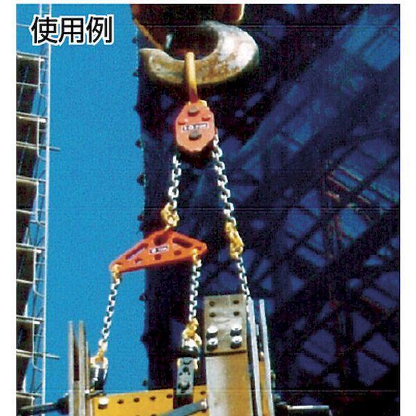 あすつく対応 「直送」 【個数：1個】象印チェンブロック CE-06000 チェーンエコライザー６ｔｏｎ CE06000 390-1971_1