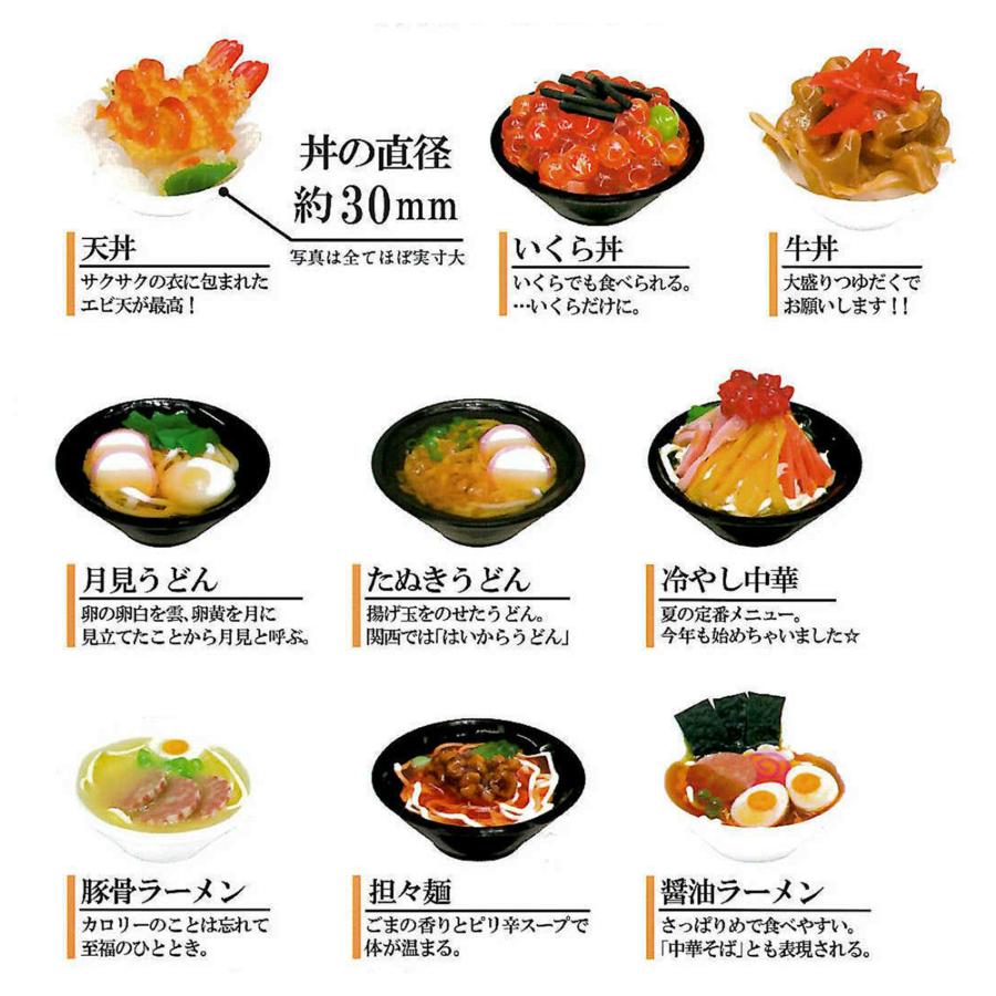 カミオジャパン 大人の図鑑 ミニチュアマグネット 9個 コンプリート